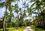 Impressive Punta Cana foto 13