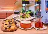 Creta Palm Hotel foto 6