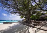 Taj Coral Reef Resort & Spa, Maldives foto 3