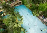 Center Parcs Bispinger Heide foto 1