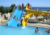Apollonia Beach Resort & Spa foto 3