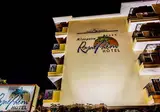 Kleopatra Royal Palm foto 20