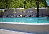 Polidor foto 17