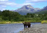Cruise Alaska & Hawai - Gletsjers en Vulkanen foto 1