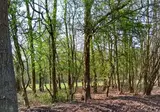 Fewo Oostkapelle foto 16