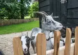 Erfgoed Bossem foto 36