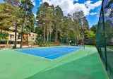 Buyuk Abant Oteli & Kongre Merkezi foto 30