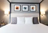 Elizabeth Lifestyle Hotel Bologna foto 16
