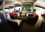 Negril Treehouse Resort foto 9