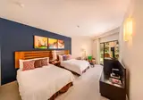 Grand Decameron Los Cabos, A Trademark All Inclusive Resort foto 7