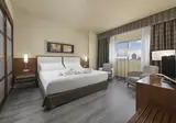 Elba Almería Business & Convention Hotel foto 11