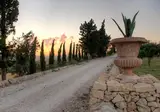 Masseria Della Volpe foto 10