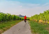 Ontdek de Duitse Wijnroute vanuit Bad Dürkheim foto 4