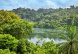 16 daagse fly drive Suriname Compleet foto 1