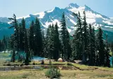 Oregon op het gemak foto 15
