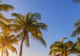 Discover Fantastic Florida foto 6