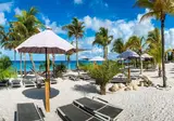 Delfins Beach Resort Bonaire Tapestry by Hilton foto 9