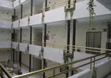San Pablo foto 9