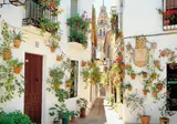 13 daagse fly drive Grand Tour Andalusië foto 3