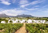 De Zalze Lodge foto 20