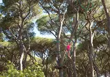 Camping hu Park Albatros Village foto 5