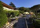 Hotel La Pergola & Villa Flavio foto 14