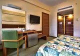 Viking Park Hotel & Spa foto 10