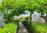 Bungalows Cordial Sandy Golf foto 9
