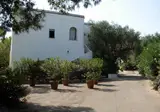 Tenuta Belvedere foto 21