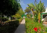 Bungalows Cordial Sandy Golf foto 11