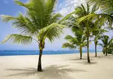 Viva Heavens by Wyndham, A Trademark All Inclusive foto 8