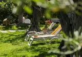 Collina foto 26