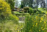 Residence I Cancelli foto 11