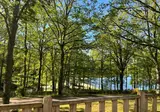 Camping Montard foto 13