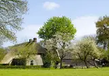 Herberg de Loohoeve foto 20