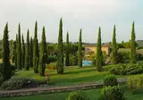 Agriturismo La Sovana foto 13
