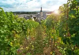 Over de Rijn naar Rüdesheim foto 2