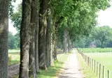 Bungalowpark Hoge Hexel foto 34