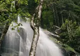 Der Hirschen foto 14