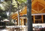 Camping Mare E Pineta foto 11