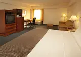 Avanti Palms Resort & Conference Center foto 5