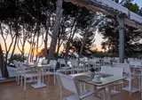 Iberostar Waves Pinos Park foto 16