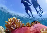 Kandima Maldives foto 28