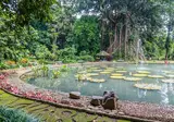Fascinerend Indonesië foto 12