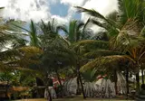 Villa Taina foto 14