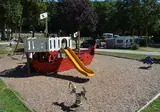 Camping Du Bois De Reveuge foto 10