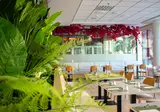 Hotel Diamante Beach foto 12