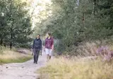 Landgoed De Uitkijk foto 7