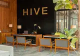 Hive Cancun foto 4