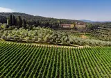 Torre a Cona Wine Estate - Hotel foto 4